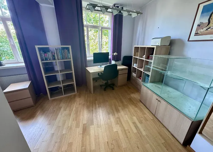 Spacious Located In A Centre 公寓 里加