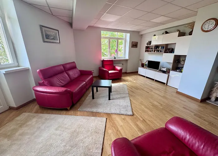 Spacious Located In A Centre Lägenhet